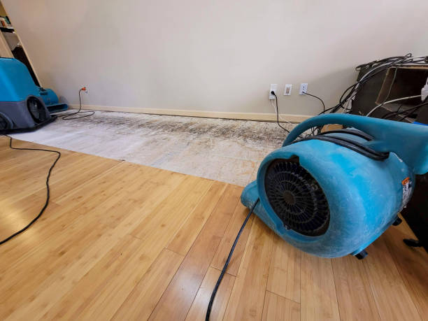 Professional Ceiling Water Damage Repair technician working in Little Falls, NJ